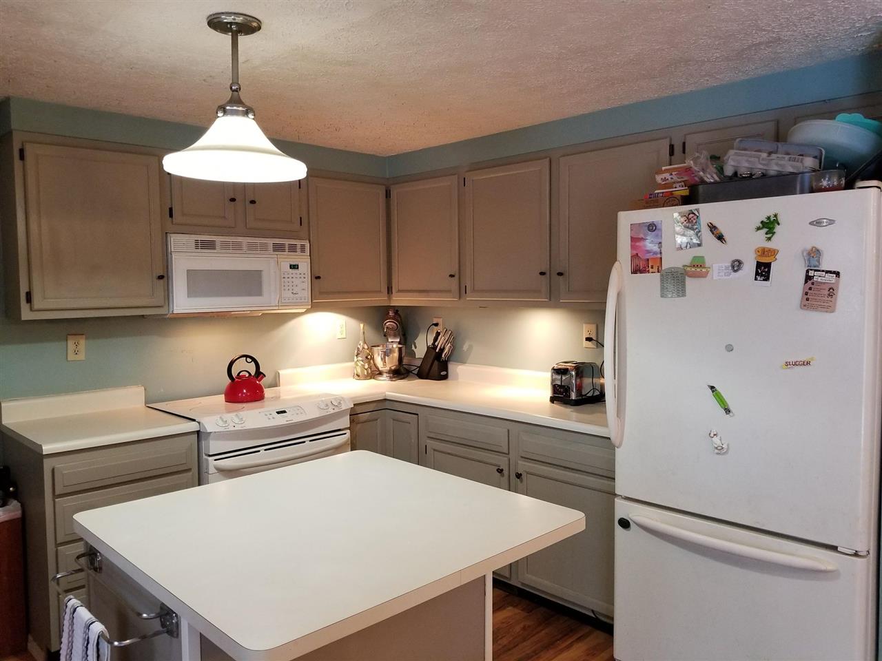 5876 Zue Road Buckley, MI 49620 - Photo 4 of 12 1843740-3.JPG