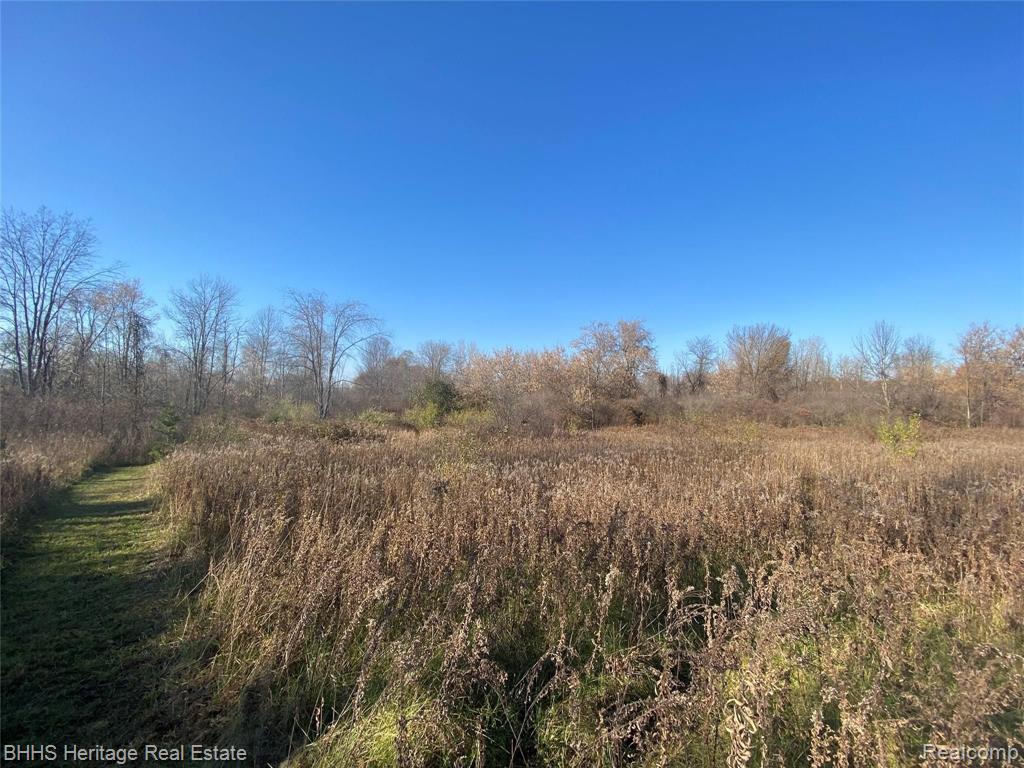 Vl Vl Kleinway Road Fowlerville, MI 48836 - Photo 2 of 17