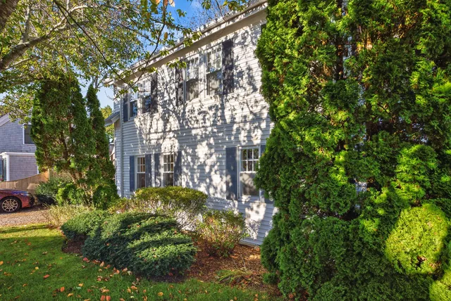 a view of bushes and pathway