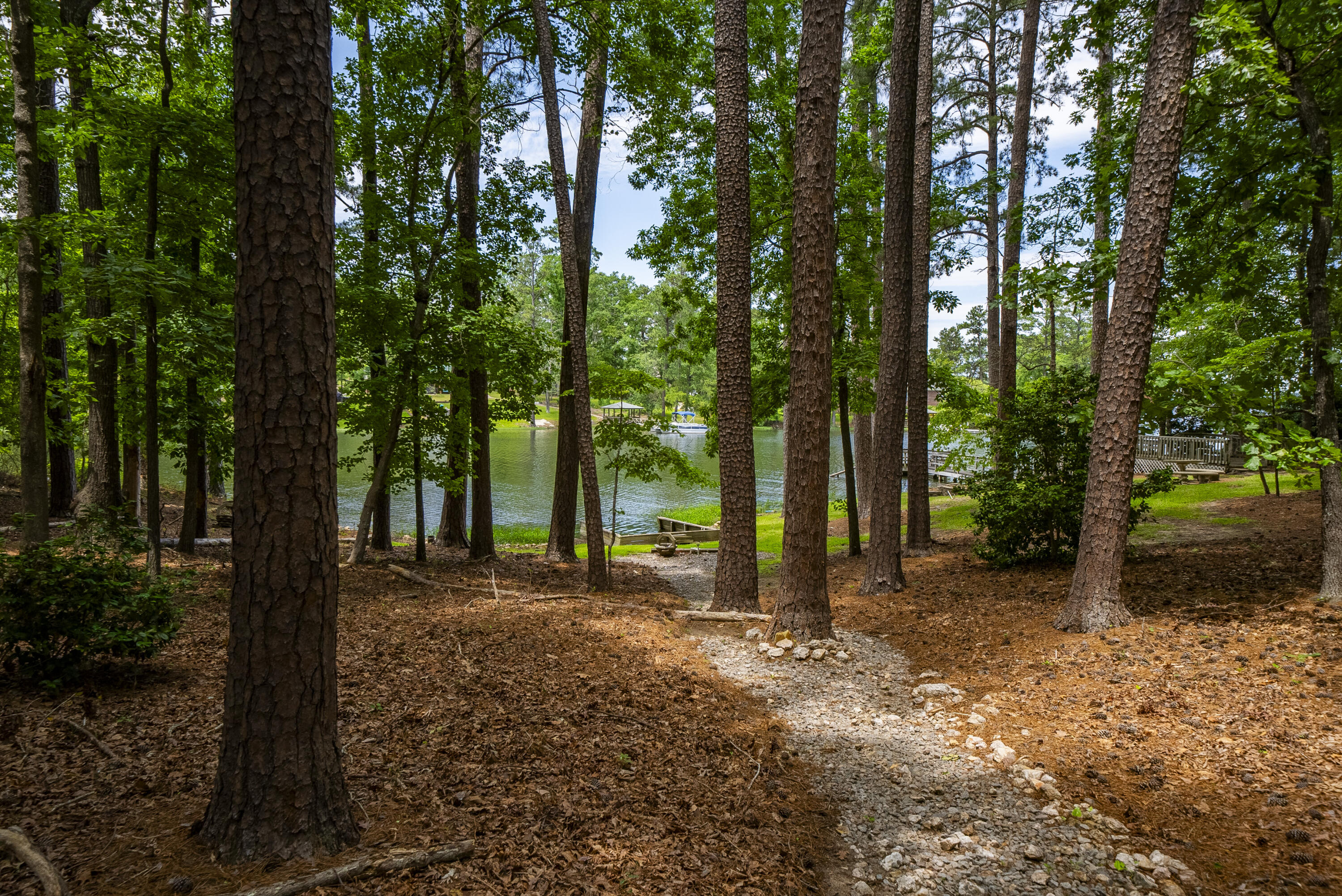 1239 Shull Island Road Gilbert, SC 29054 - Photo 42 of 52