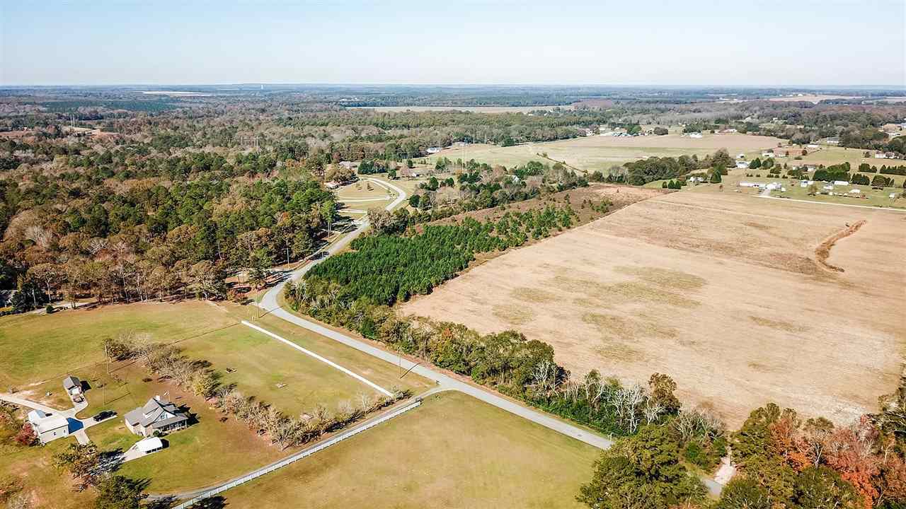 Lot 2 Newell Road Byron, GA 31008 - Photo 7 of 20