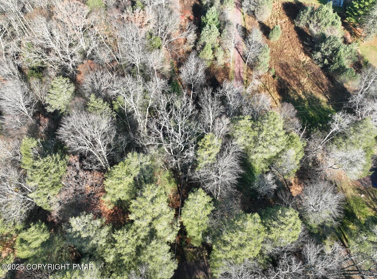 534 Rr, Unit A10 Albrightsville, PA 18210 - Photo 5 of 7 a view of a forest with a tree