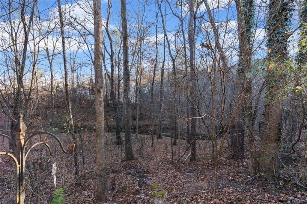 175 Gellmore Lane Acworth, GA 30101 - Photo 58 of 67 a view of a forest with a trees