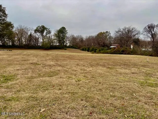 $85,000 | 2 A Us-51, Hernando, MS 38632