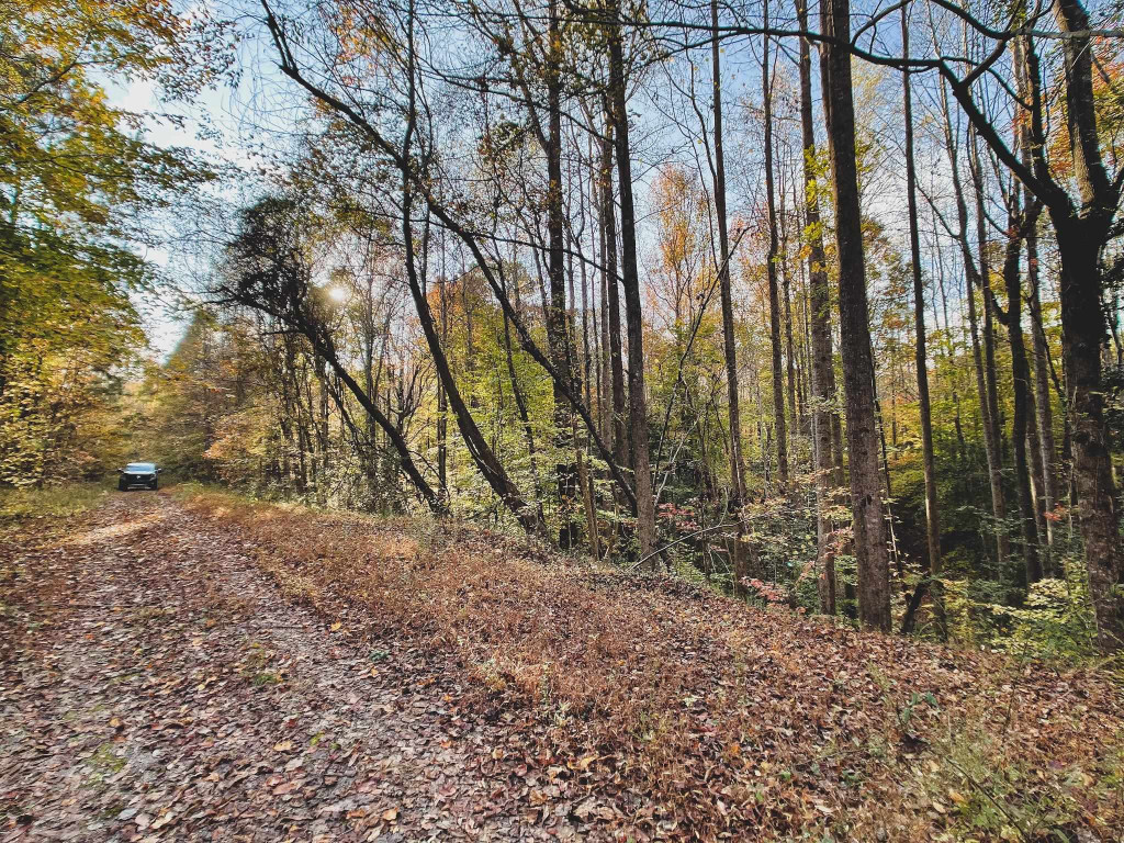 47-acres Mulberry Road Spring Hope, NC 27882 - Photo 21 of 37 a backyard of a house with lots of green space