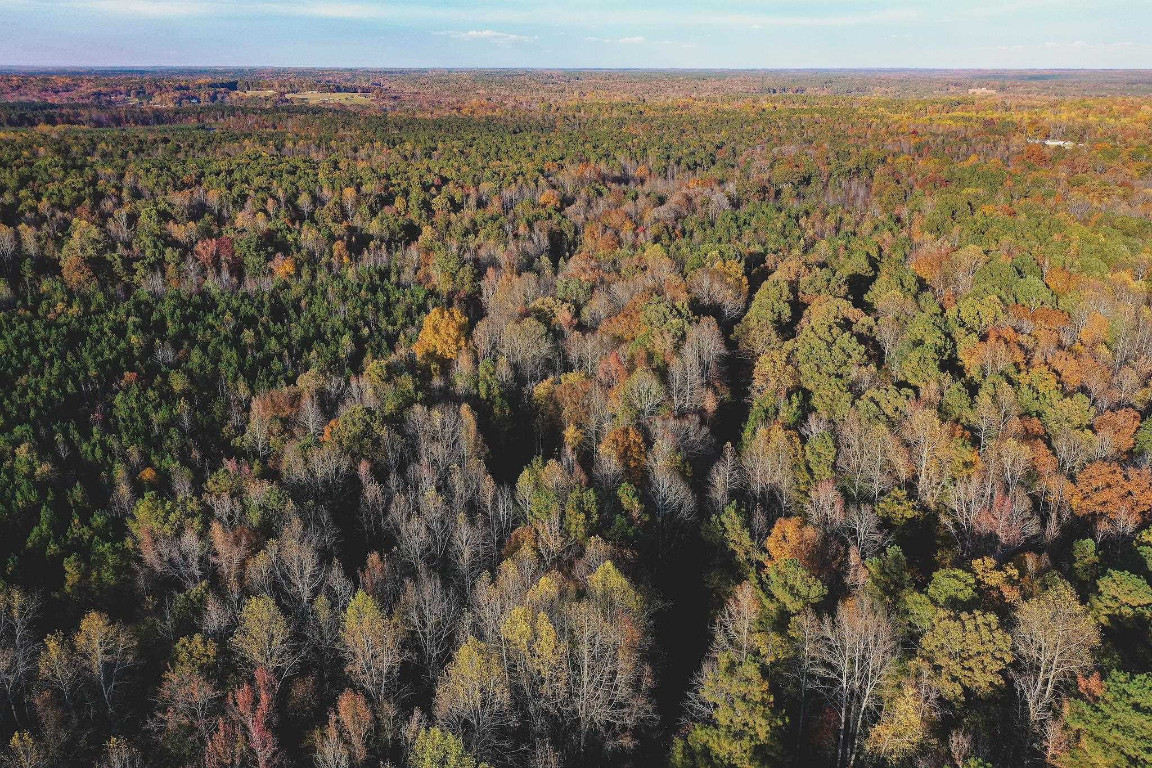 47-acres Mulberry Road Spring Hope, NC 27882 - Photo 29 of 37 a view of a city with lush green forest