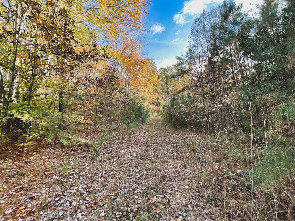 47-acres Mulberry Road Spring Hope, NC 27882 - Photo 3 of 37 a view of a yard with a tree
