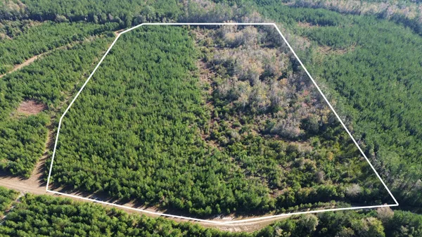 $199,000 | 16 Hwy 311 Cross Sc 29436, Cross, SC 29436