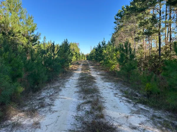 $199,000 | 16 Hwy 311 Cross Sc 29436, Cross, SC 29436