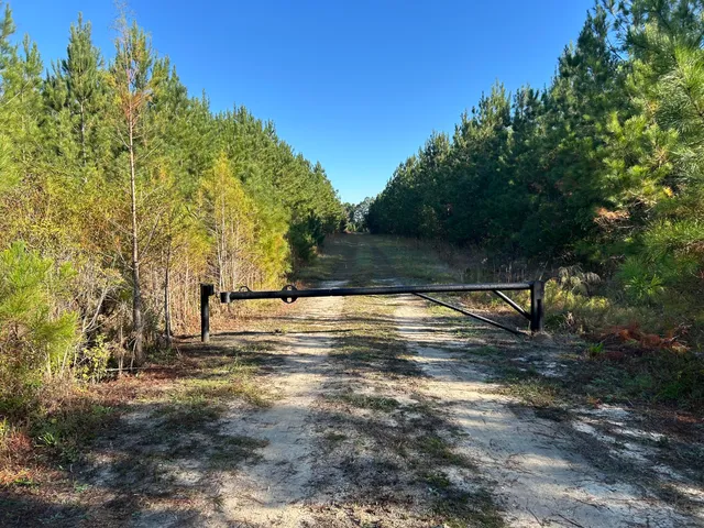 $199,000 | 16 Hwy 311 Cross Sc 29436, Cross, SC 29436