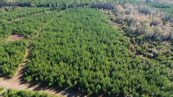 $199,000 | 16 Hwy 311 Cross Sc 29436, Cross, SC 29436