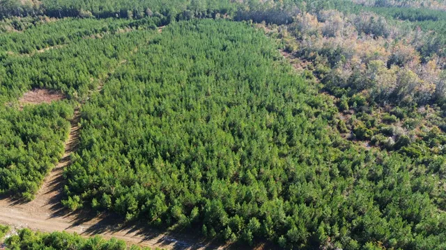 $199,000 | 16 Hwy 311 Cross Sc 29436, Cross, SC 29436