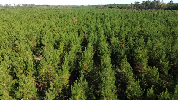 $199,000 | 16 Hwy 311 Cross Sc 29436, Cross, SC 29436