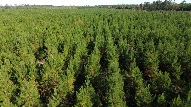 $199,000 | 16 Hwy 311 Cross Sc 29436, Cross, SC 29436