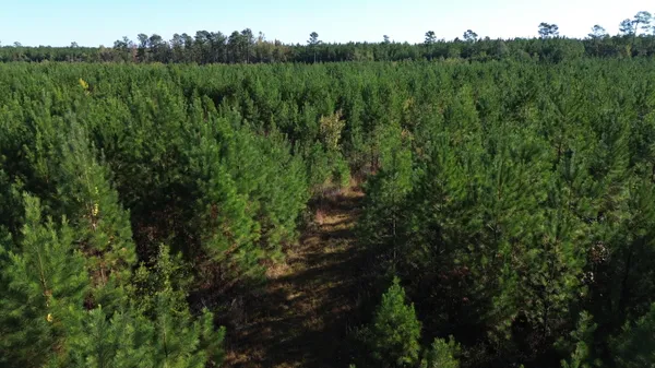 $199,000 | 16 Hwy 311 Cross Sc 29436, Cross, SC 29436