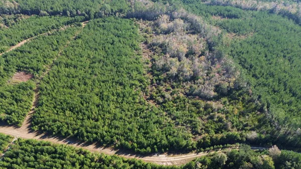 $199,000 | 16 Hwy 311 Cross Sc 29436, Cross, SC 29436