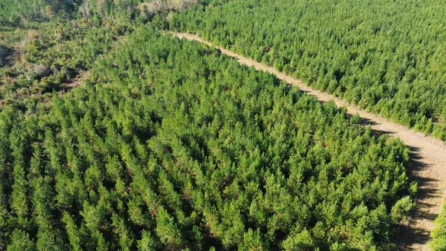 $199,000 | 16 Hwy 311 Cross Sc 29436, Cross, SC 29436