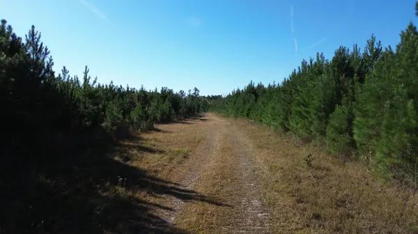 $199,000 | 16 Hwy 311 Cross Sc 29436, Cross, SC 29436