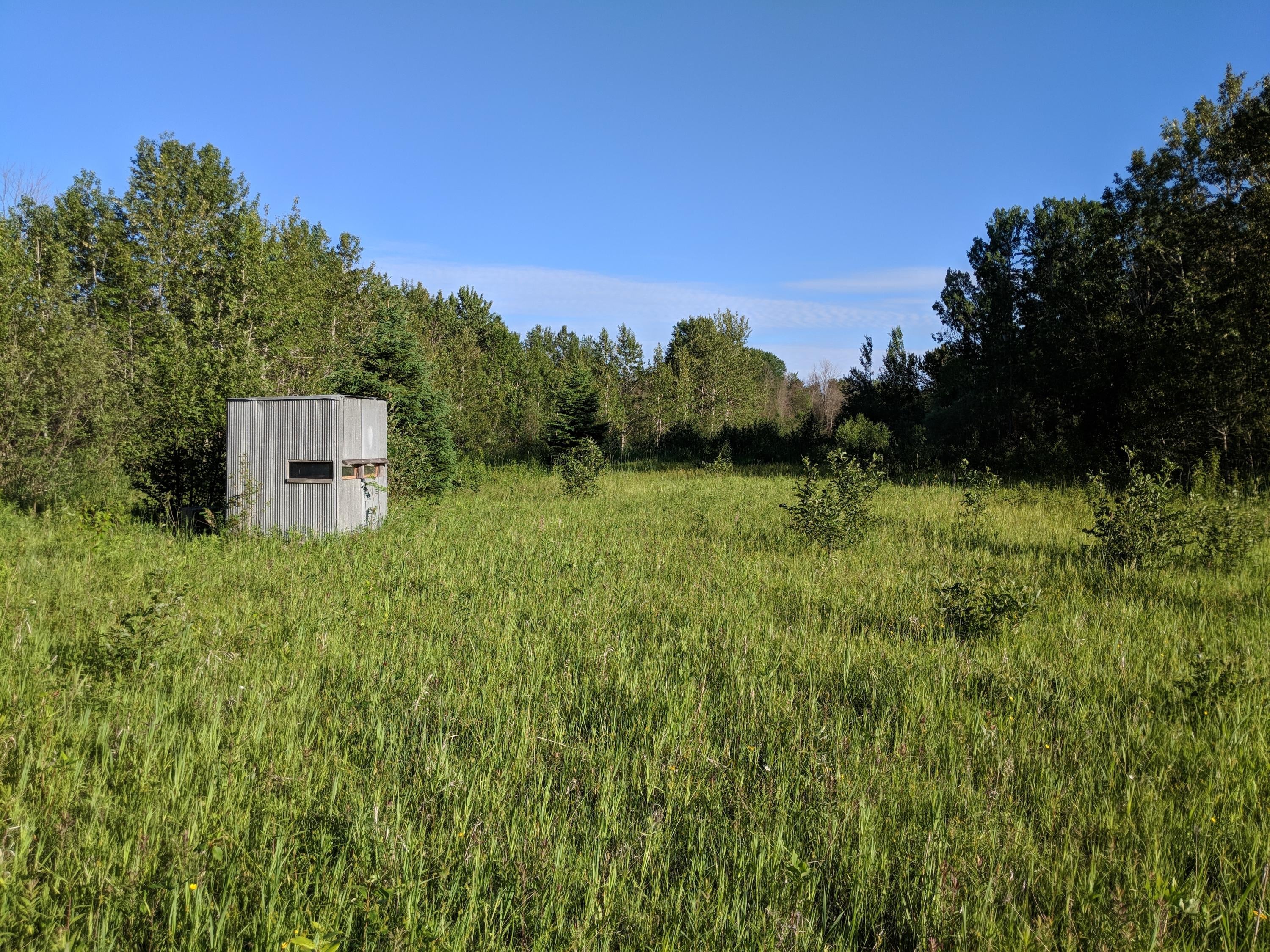 Ohlrich Road Posen, MI 49776 - Photo 12 of 18 Gallery Image 12
