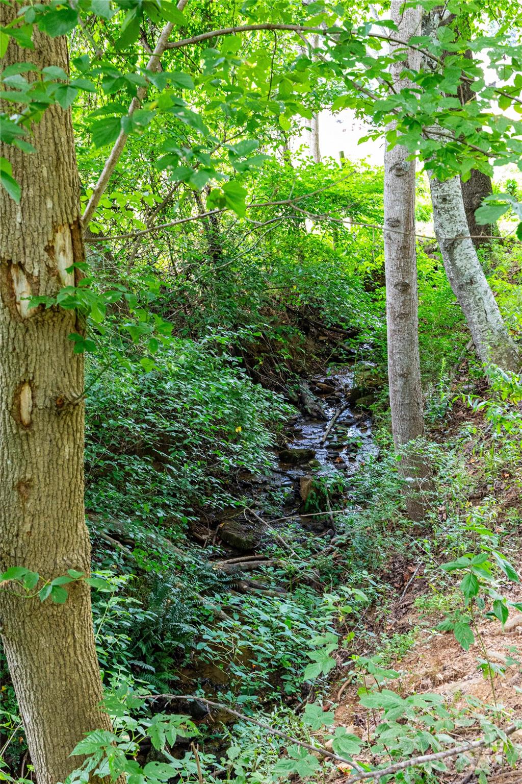 96 Rocky Bottom Lane Clyde, NC 28721 - Photo 24 of 31