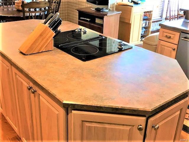 18171 Sheerin Road Pacific, MO 63069 - Photo 7 of 26 Gallery Image 7