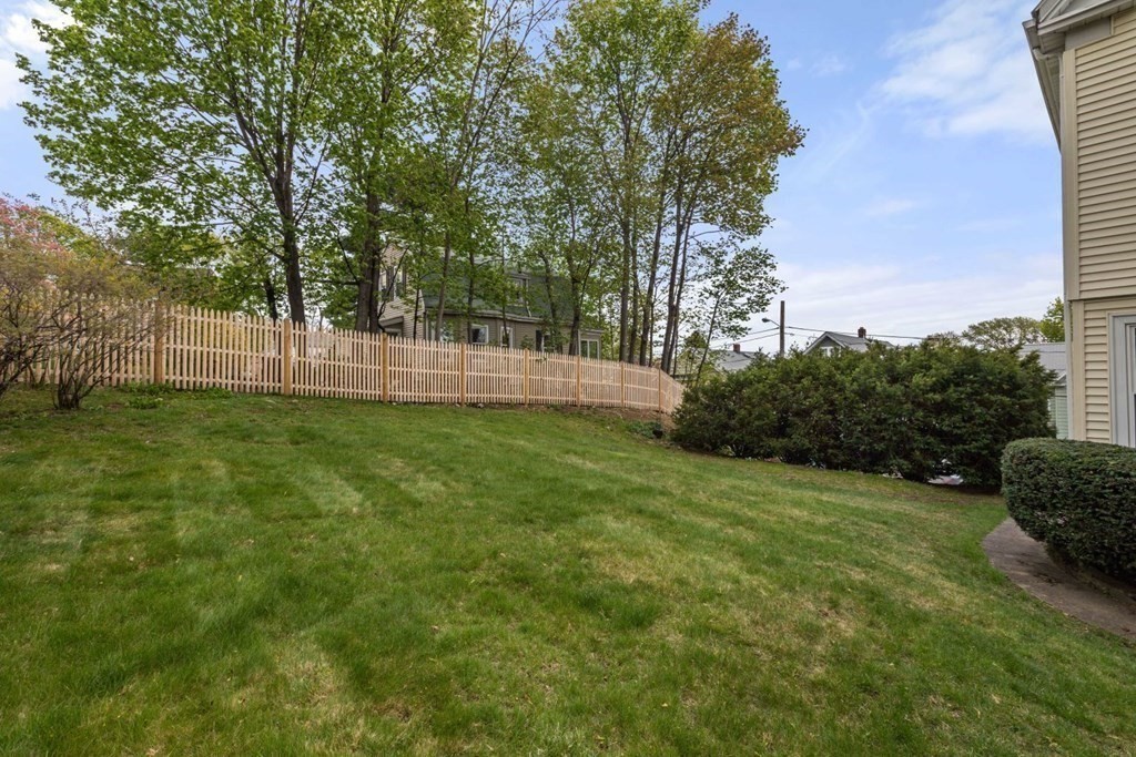 54 Olney Street Watertown, MA 02472 - Photo 25 of 28 a view of backyard with green space