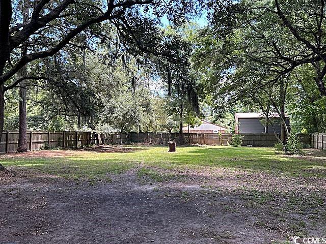 705 Fogel Street Georgetown, SC 29440 - Photo 25 of 25