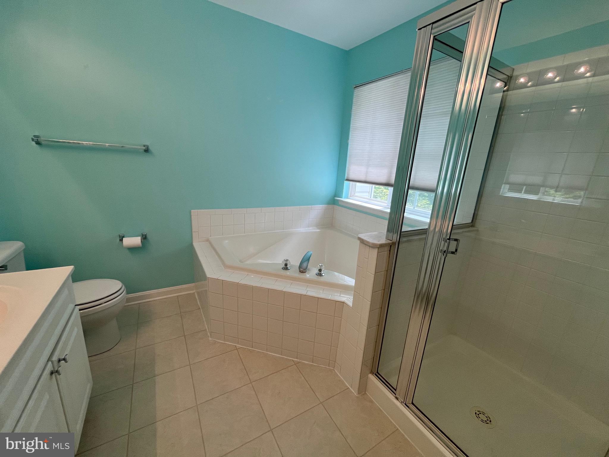 704 Shallow Ridge Court Abingdon, MD 21009 - Photo 21 of 43 Primary bath