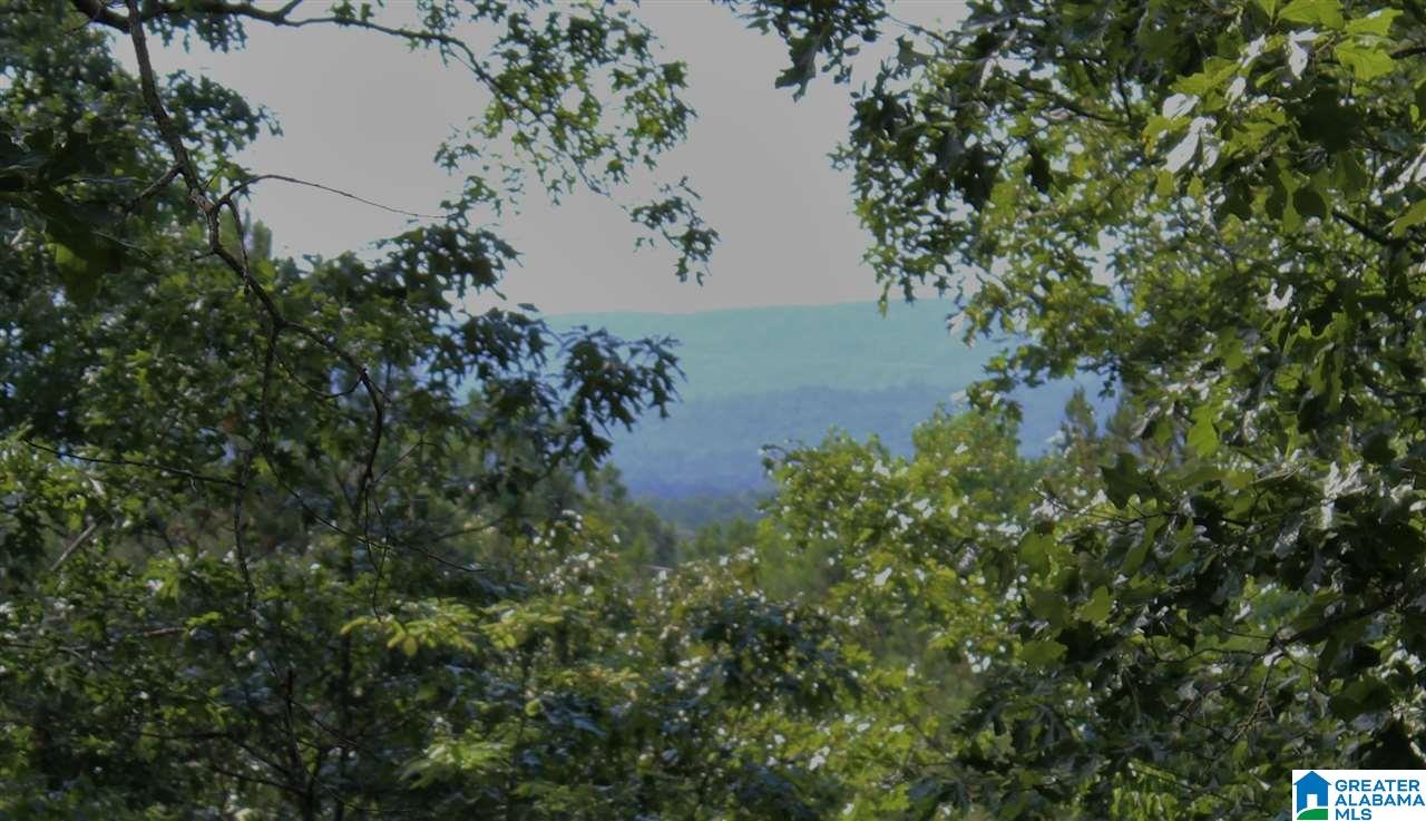 Christopher Cove Sterrett, AL 35147 - Photo 1 of 10