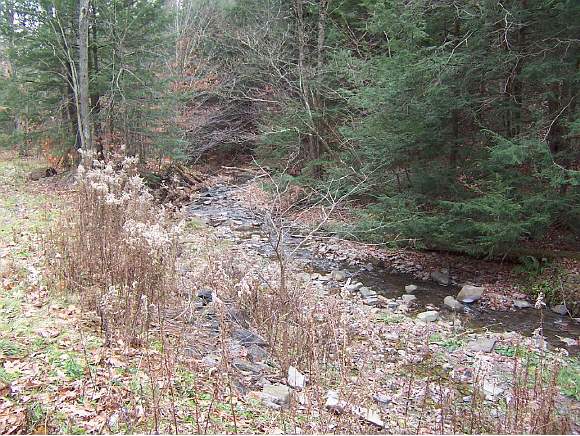 0 Diamond Valley Road Tioga, NY 13734 - Photo 1 of 6 Gallery Image 1