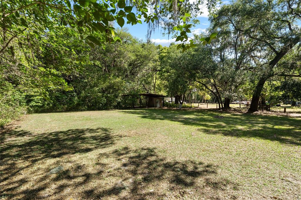 4329 Northwest 155th Street Reddick, FL 32686 - Photo 48 of 52 a view of a yard with large trees