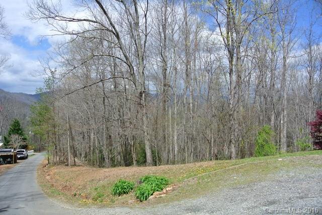 295 Mockingbird Road Swannanoa, NC 28778 - Photo 22 of 24 Gallery Image 22