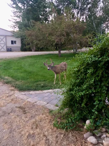 $1,498,000 | 6856 Highway 55, Horseshoe Bend, ID 83629