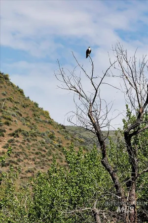 $1,498,000 | 6856 Highway 55, Horseshoe Bend, ID 83629