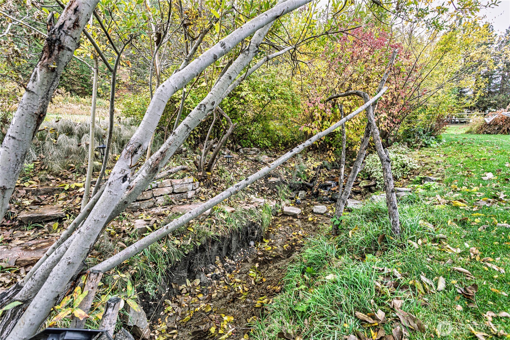 65 Sandstone Lane Cashmere, WA 98815 - Photo 31 of 39 a close up of a tree