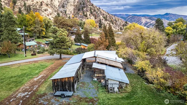 a view of a yard with plants and large trees