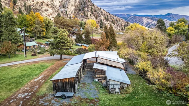a view of a yard with plants and large trees