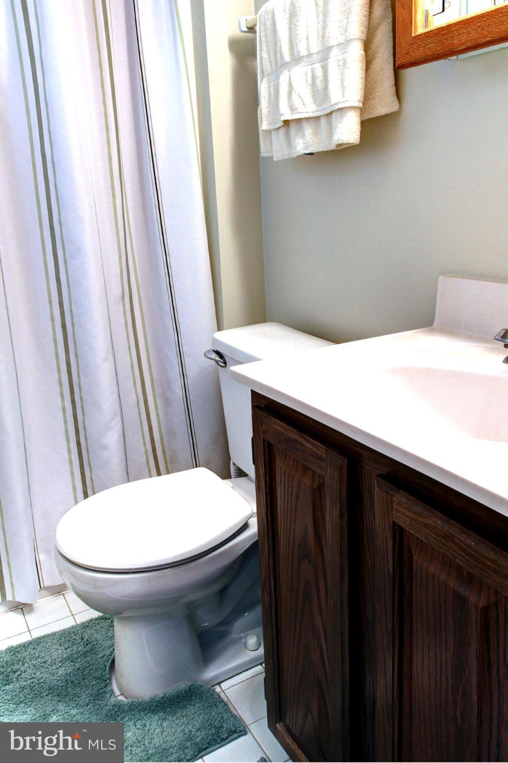 8036 Pine Ridge Road Pasadena, MD 21122 - Photo 20 of 27 Bath