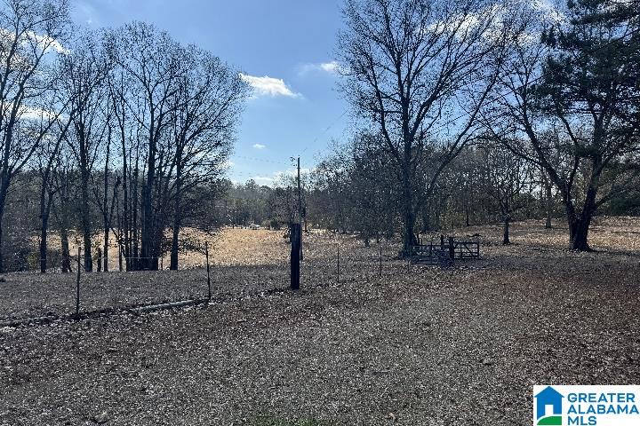 1036 Rushing Springs Road Lincoln, AL 35096 - Photo 16 of 58