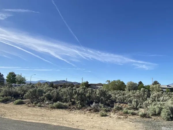a view of a dry yard with trees in the background
