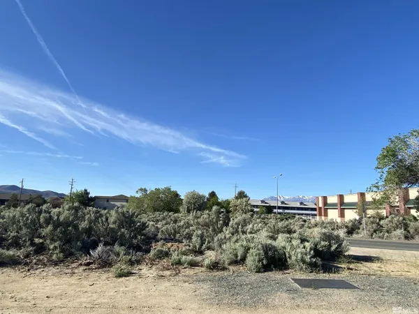 a view of a dry yard with trees