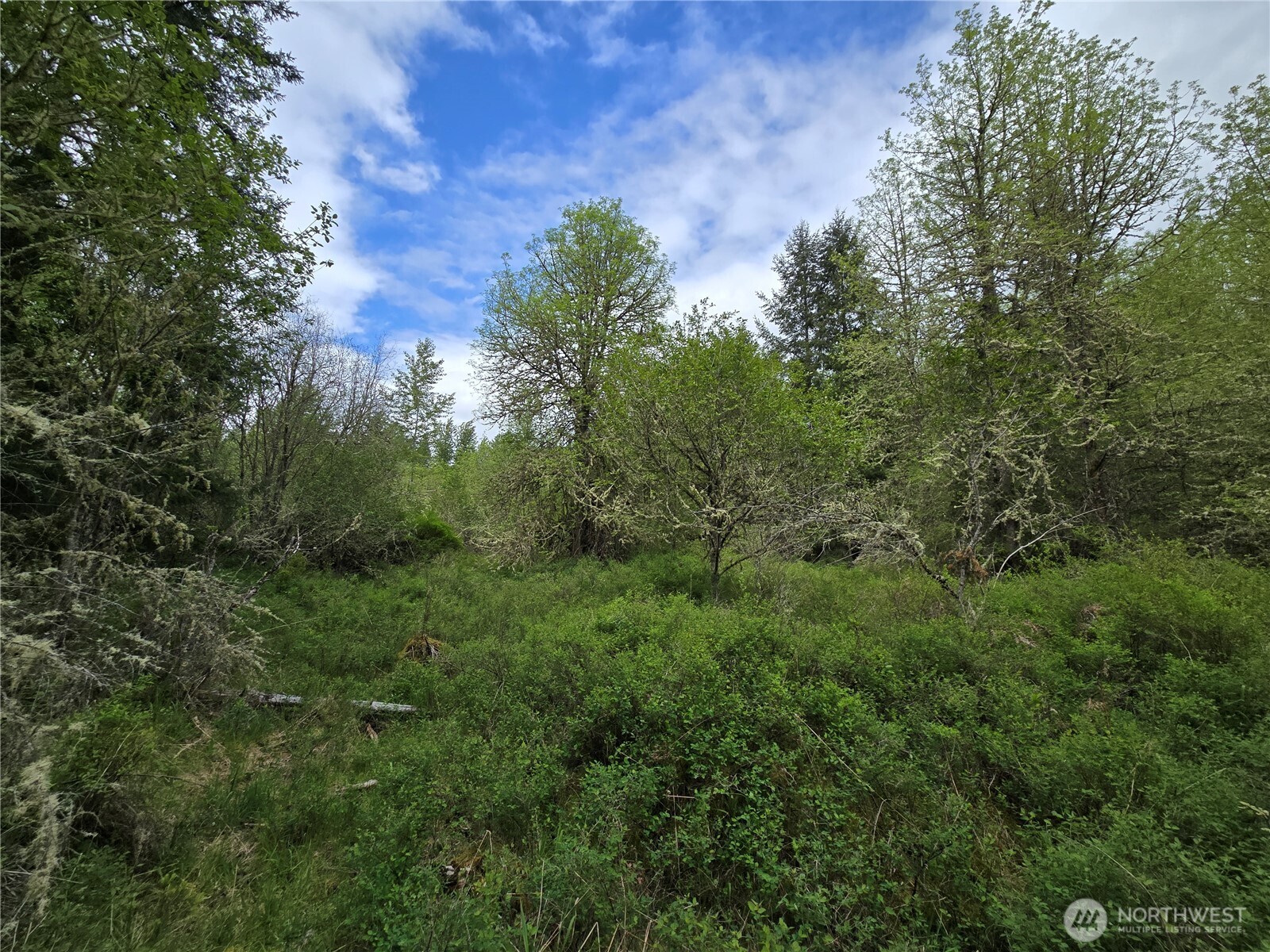 5102 Harts Lake Road South Roy, WA 98580 - Photo 24 of 26