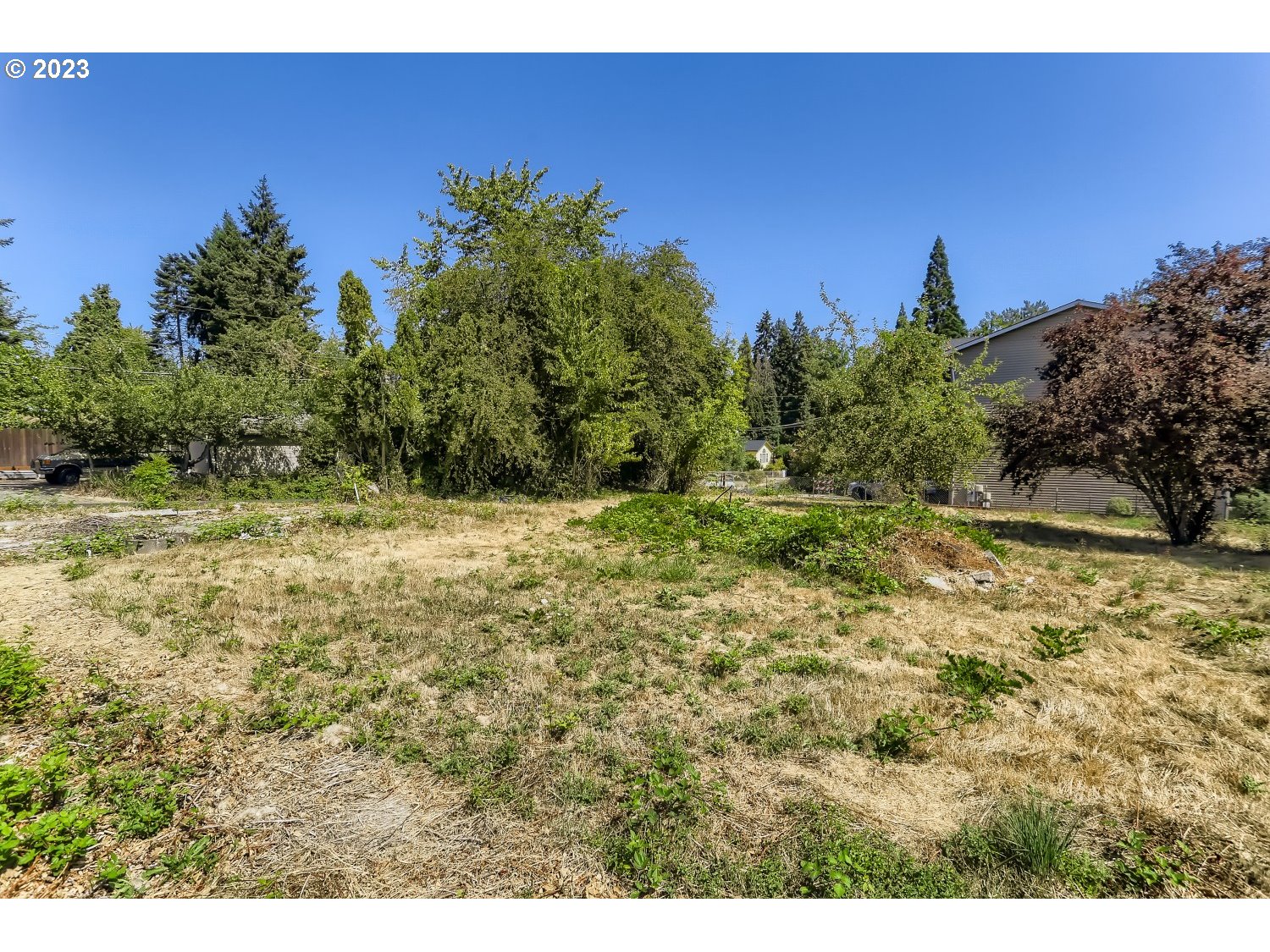 2700 Southwest 192nd Avenue Beaverton, OR 97003 - Photo 12 of 15 a view of a yard with a tree