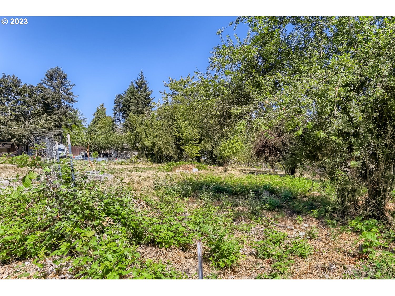 2700 Southwest 192nd Avenue Beaverton, OR 97003 - Photo 13 of 15 a view of a field of grass and trees