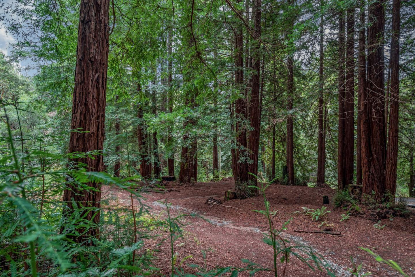 1600 Tucker Road Scotts Valley, CA 95066 - Photo 15 of 37 a view of outdoor space and green space