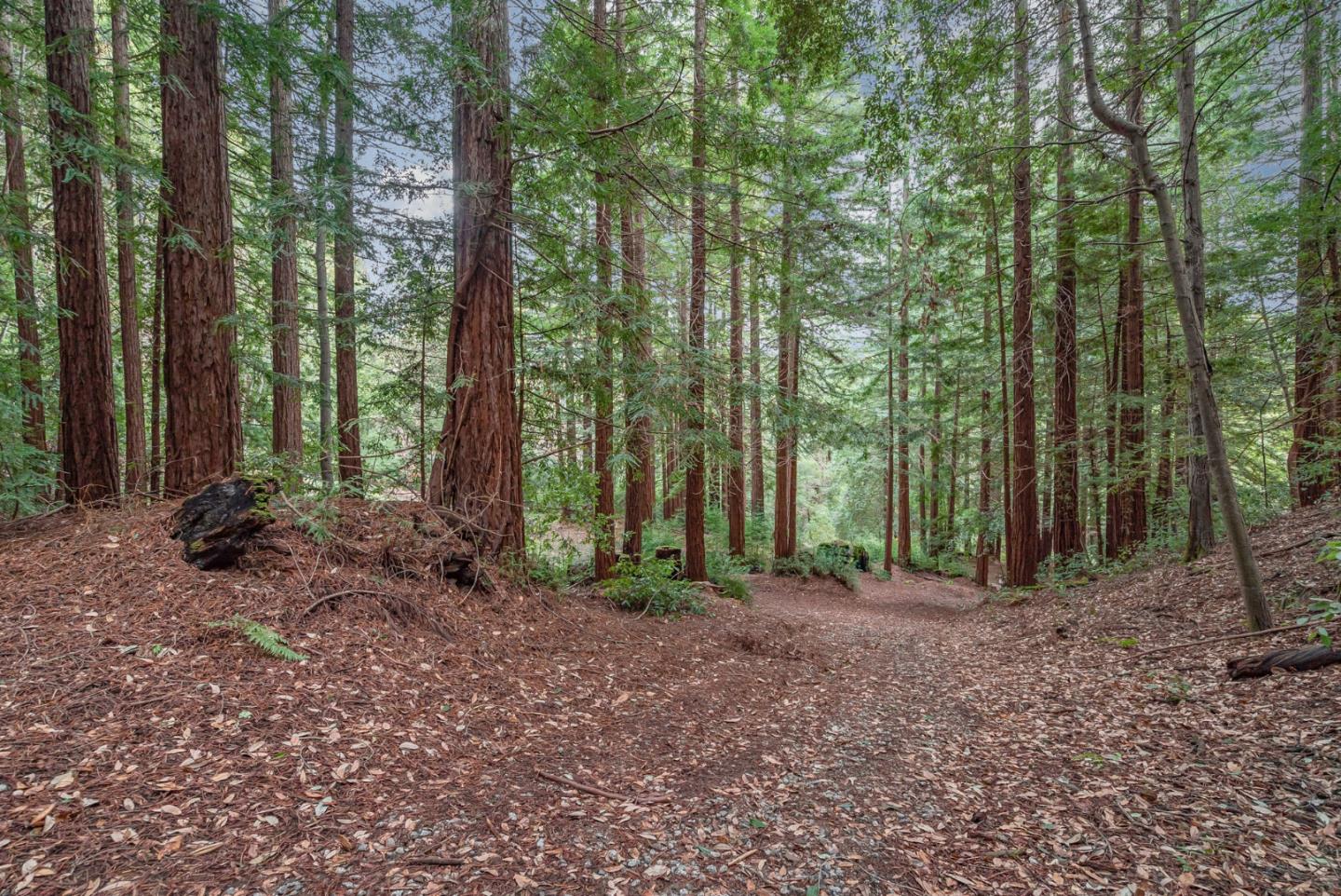 1600 Tucker Road Scotts Valley, CA 95066 - Photo 17 of 37 a view of outdoor space and trees
