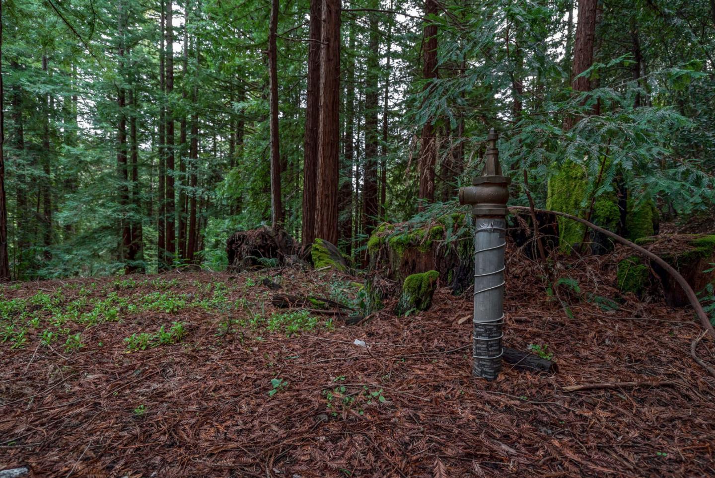 1600 Tucker Road Scotts Valley, CA 95066 - Photo 18 of 37 a view of backyard with green space