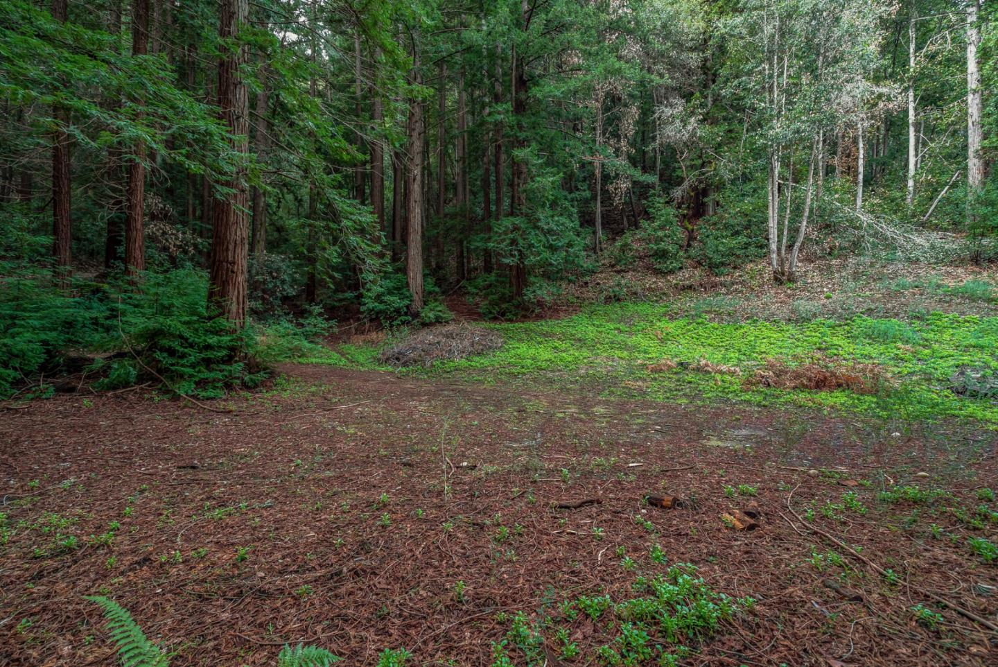 1600 Tucker Road Scotts Valley, CA 95066 - Photo 20 of 37 a view of a field with trees in the background