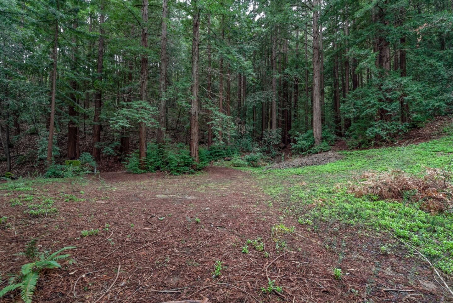 1600 Tucker Road Scotts Valley, CA 95066 - Photo 21 of 37 a view of a field with trees in the background