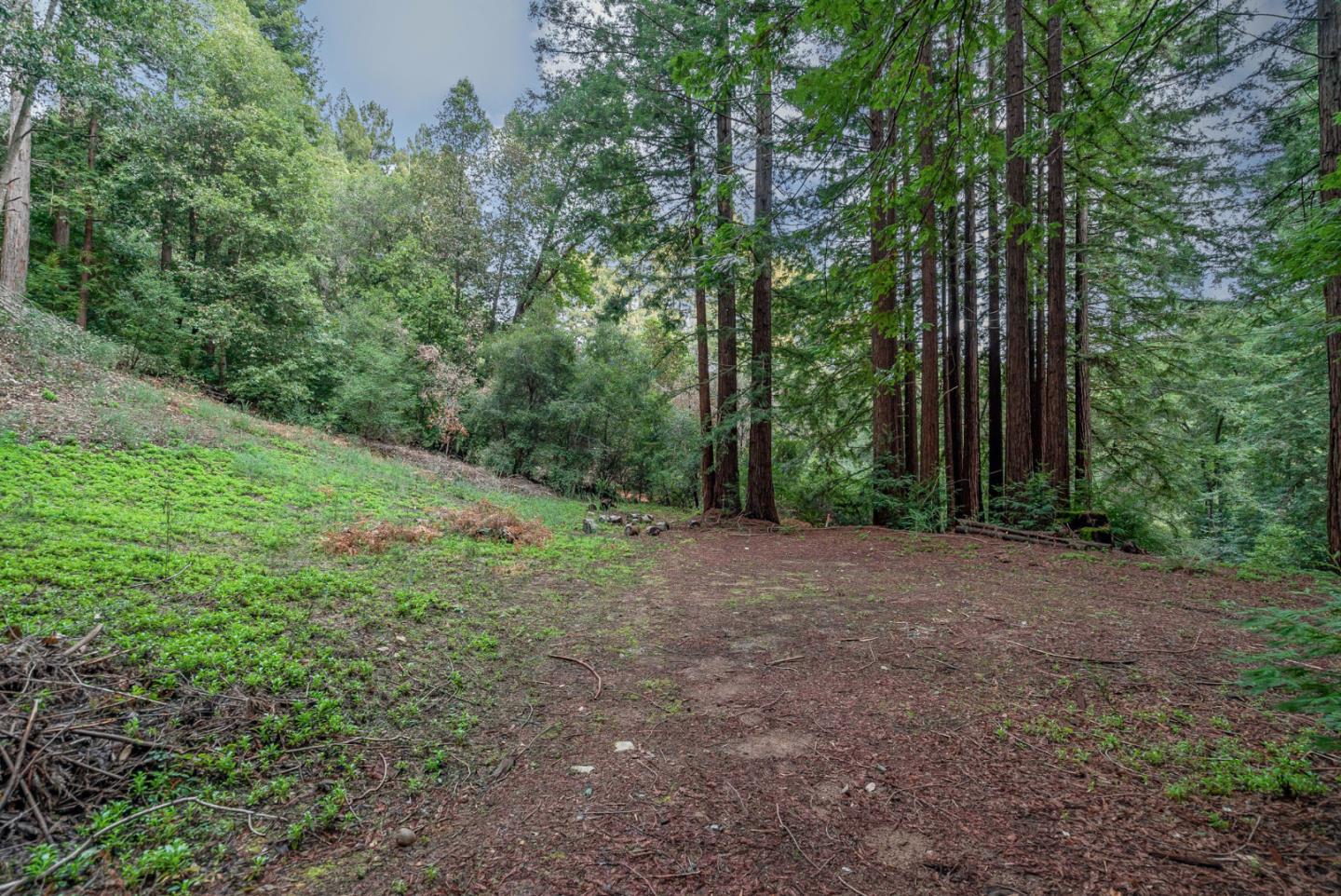 1600 Tucker Road Scotts Valley, CA 95066 - Photo 22 of 37 a view of a yard with large trees